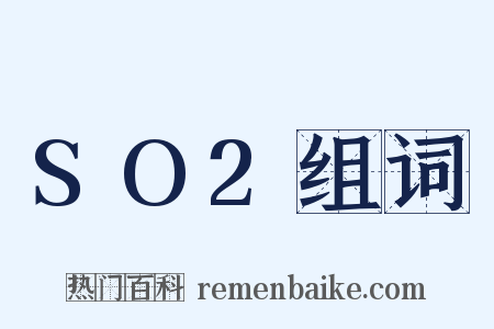 SO2组词是什么意思的图片